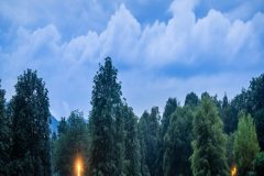 8841LS_0_180604_129-scaled