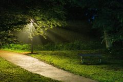 8841LS_0_180604_273-scaled