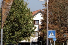 9311_00002_DB_Asset