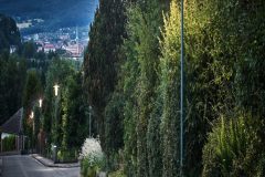 9811_0_160704_060-scaled