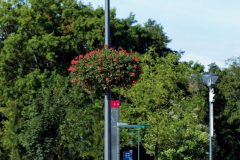 9831_00003_DB_Asset-scaled