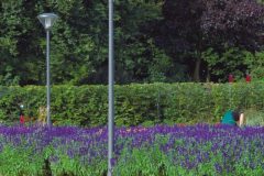 9831_00017_DB_Asset-scaled