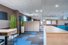 Amatris_0_180514_034