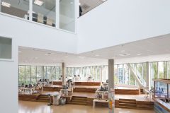 AMBIELLA_00018_DB