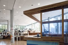 AMBIELLA_00020_DB