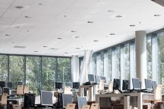 AMBIELLA_00021_DB