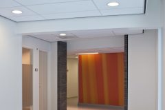 AMBIELLA_00028_DB