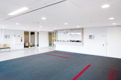 AMBIELLA_00030_DB