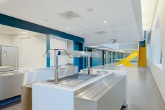 AMBIELLA_00034_DB