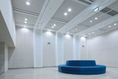 AMBIELLA_00039_DB