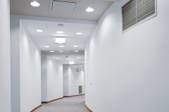 AMBIELLA_00043_DB