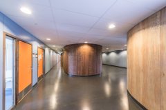 AMBIELLA_00062_DB
