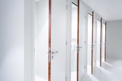 Ambiella_0_161216_008