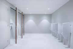 Ambiella_0_161216_012