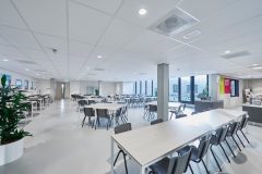 Ambiella_0_170112_5889-2