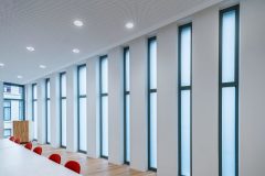 Ambiella_0_171010_001