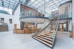 Ambiella_0_171010_018