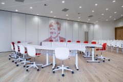 Ambiella_0_171010_035