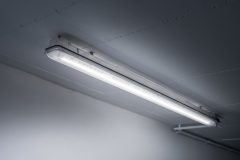 Aragon_Fit_0_220810_0087