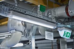 Aragon_Fit_0_250213_0005