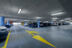 Aragon_Fit_0_250907_0001