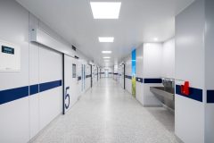 Arimo_Fit_0_240610_0001-scaled