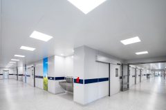 Arimo_Fit_0_240610_0004-scaled