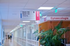 Arimo_Fit_0_250213_0002