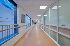 Arimo_Fit_0_250213_0004