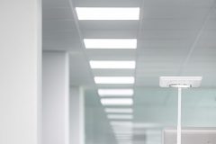 BiCult_0_190604_0099