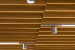 B.Veo_0_250206_0025