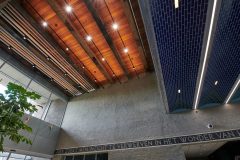 B.veo_0_250907_0001