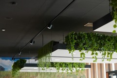 Bveo_LED_0_210816_0002