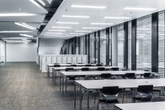 BELVISO_SOF_00012_DB