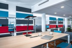 BiCult_0_190325_0099