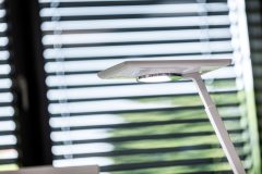 BiCult_0_190604_0068