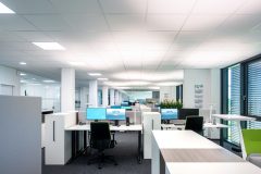 BiCult_0_190604_0146-1