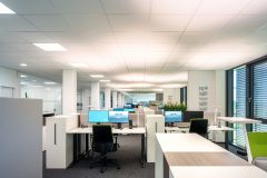 BiCult_0_190604_0146-2