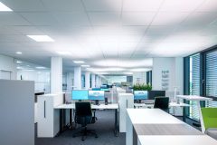 BiCult_0_190604_0146-3