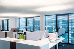 BiCult_0_190604_0164