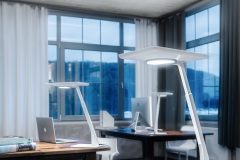 Bicult_0_180129_003_DB