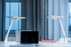 Bicult_0_180129_007_DB