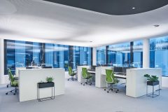 Bicult_0_181210_0090