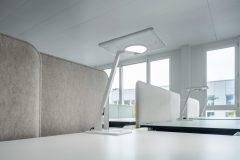 Bicult_0_201016_0001