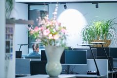 Bicult_0_250325_0004