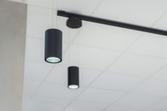 Canilo_0_230725_0010-scaled