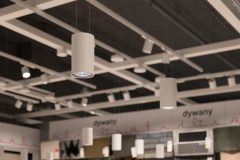 Canilo_0_250206_0002