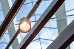 Canilo_LED_0_232811_0002