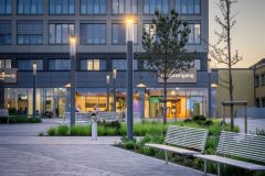 Constela_19_0_240610_0003-scaled