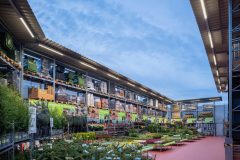 E-Line_0_201020_00011